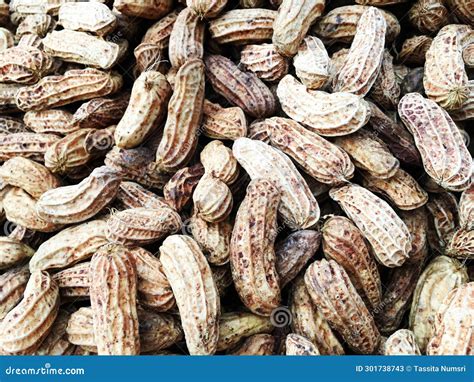 Groundnut is a Legume Crop Grown Mainly for Its Edible Seeds Stock ...