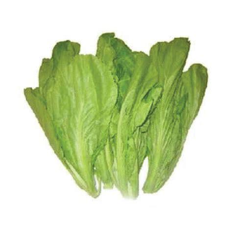 Mustasa | 250g - GoodFinds Ph