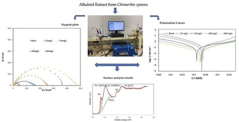 Alkaloid Extract from Chimarrhis cymosa as a Corrosion Inhibitor for ...