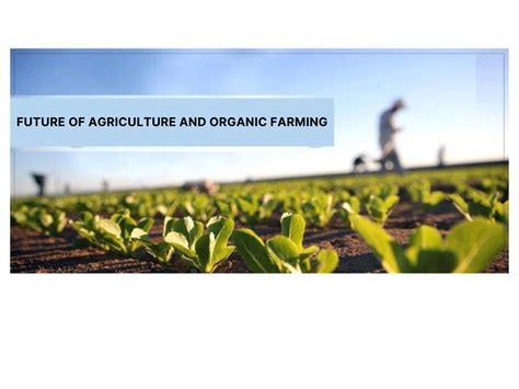 Organic Agriculture 的图像结果