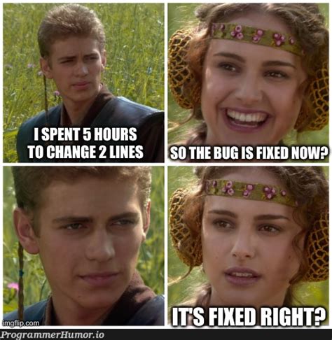 Image result for Coding Bug Meme