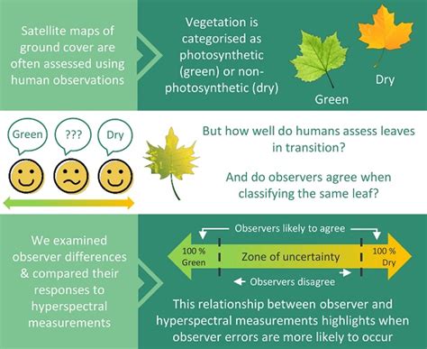 Distinguishing Photosynthetic and Non-Photosynthetic Vegetation: How Do ...