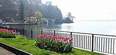 affitto appartamenti ticino affitti lugano appartamenti residence la residenza a lugano affitto appartamenti ticino affitti lugano appartamenti residence la residenza a lugano