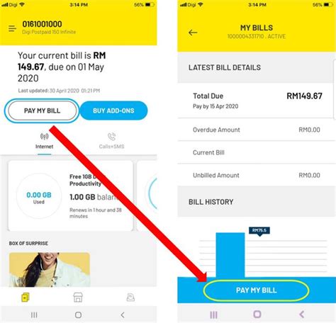 Digi Data. Check Balance 的图像结果
