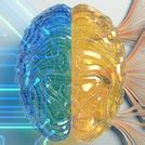 Poolse radiozender vervangt presentatoren door AI - IT Pro - .Geeks ...