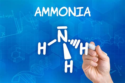 Ammonia vs. Ammonium: What Are the Differences? | Trendzzzone