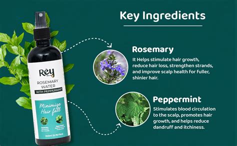 Buy Rey Naturals Aqua Range | Peppermint Plus Rosemary Water Spray For ...