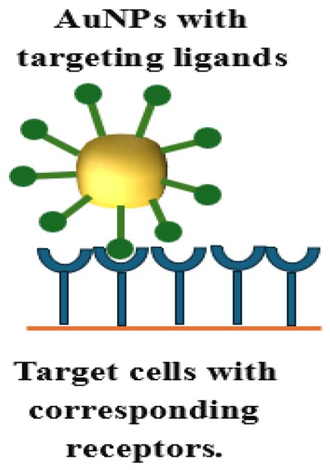 Review of Gold Nanoparticles: Synthesis, Properties, Shapes, Cellular ...