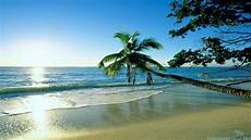 Bright Summer Cool Wallpapers by Cool Summer Wallpapers 65 Images Bright Summer Cool Wallpapers