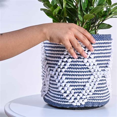 Trinket Cotton Planter – Ugaoo