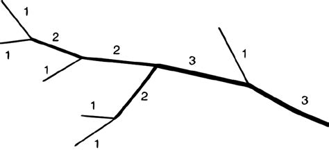 Image result for Stream Order Map