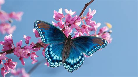 English Block 1 Big Quiz Jeopardy Template