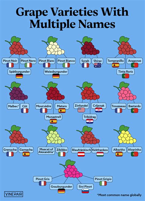 The Different Names for Popular Wine Grapes Around the World ...