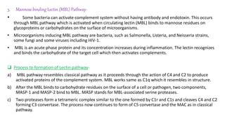 Image result for MBL Pathway Complement System