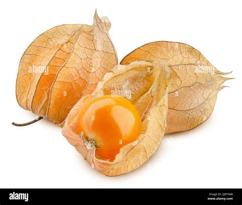 Cape gooseberry, physalis isolated on white background, clipping path ...