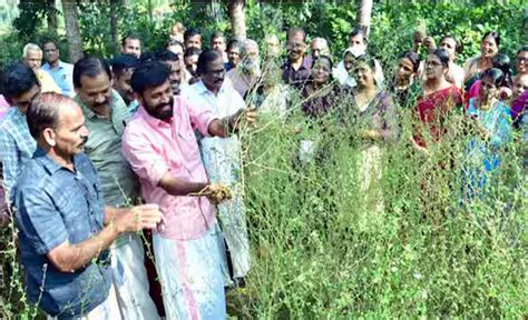 State Medicinal Plants Board Kerala | SMPB Kerala