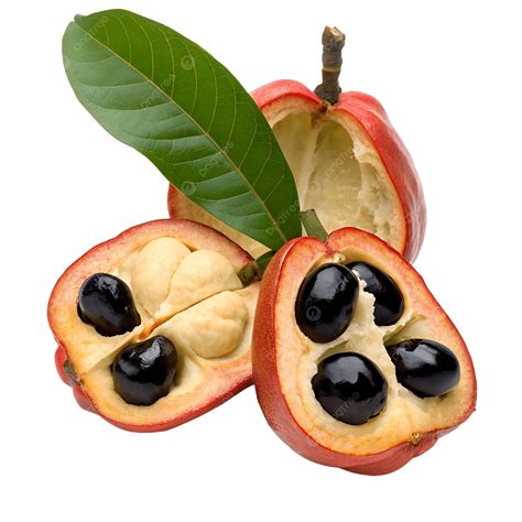 Ackee Fruit, Fruit, Ackee PNG Transparent Image and Clipart for Free ...