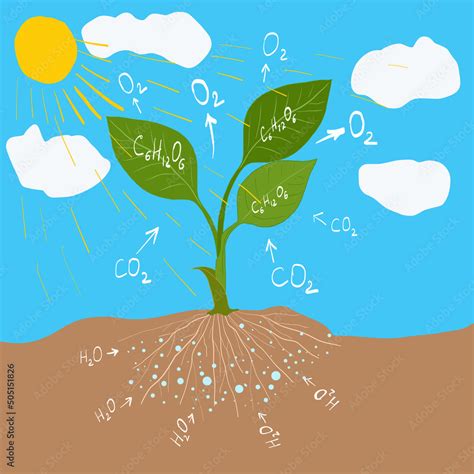 Image result for O2C Cycle Vector Cliparts