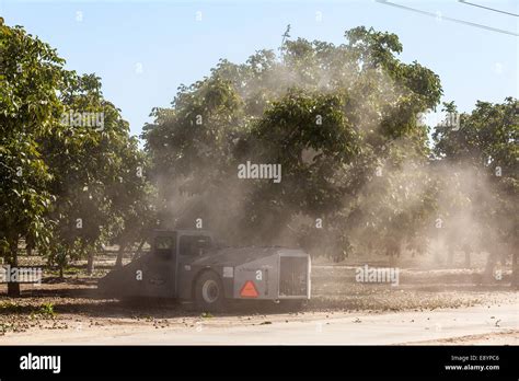 Image result for Tree Shaking