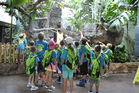 Animal Camp 2012 - Week 1 - Pet World Experience - Lawrence, KS