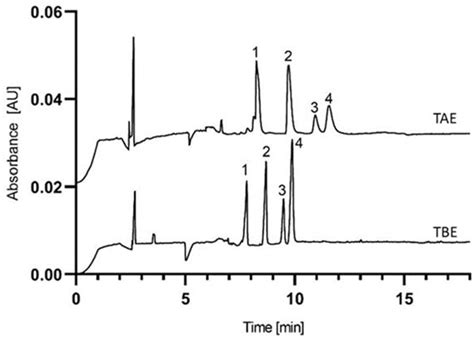 Capillary Sodium Dodecyl Sulfate Agarose Gel Electrophoresis of Proteins