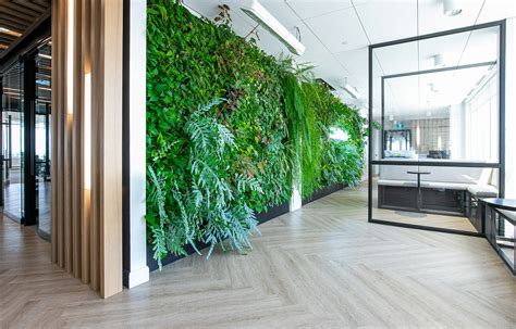 Green Living Walls Idea - Upgrade your Office | Wallemi