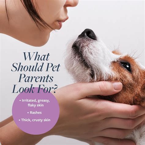 Synergy Labs Veterinary Formula Clinical Care Antiparasitic ...