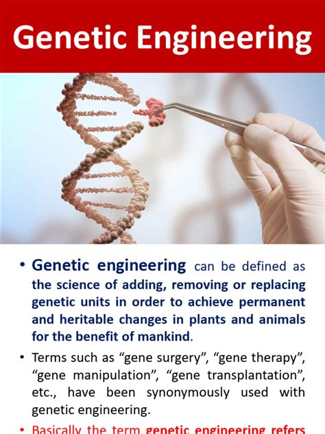 Image result for Define Genetic Engineering