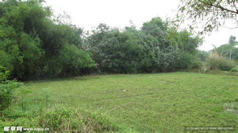 庄稼 的图像结果