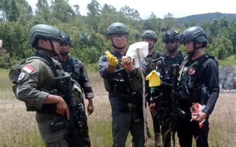 bowen pilot terbaru ngentot de san tulane pilot