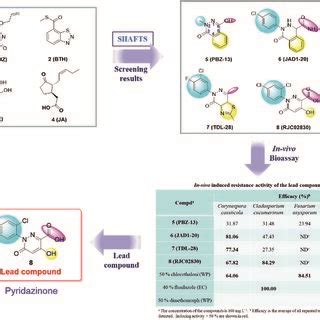 Lead Compound 的图像结果