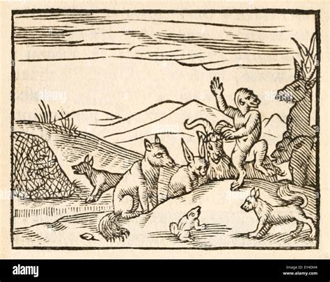 Aesops Fable Aesop Fables Stock Photos & Aesops Fable Aesop Fables ...