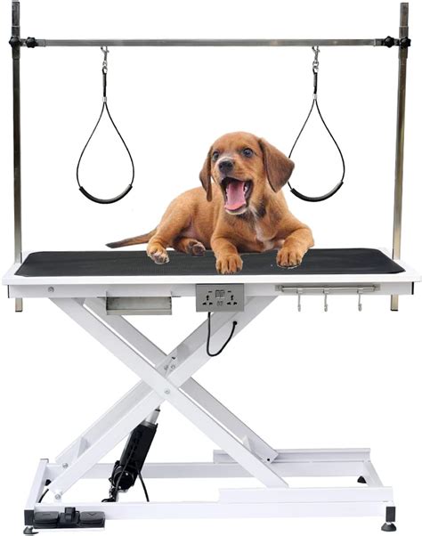 Dog Grooming Table Divider at Steve Stults blog