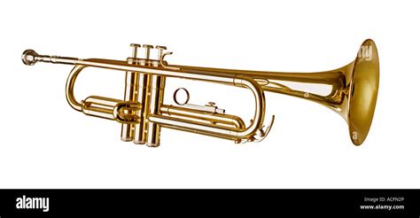 Image result for Trumpet