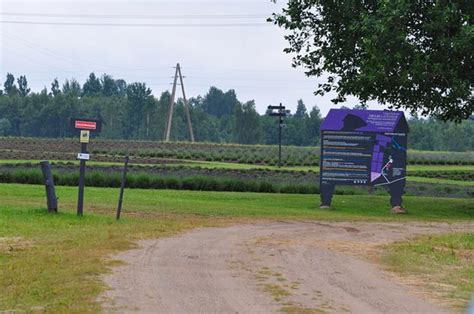 THE BEST Restaurants in Latvia (Updated June 2026) - Tripadvisor