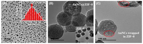 Biosensors | Special Issue : Rapid Nondestructive Testing Technology ...