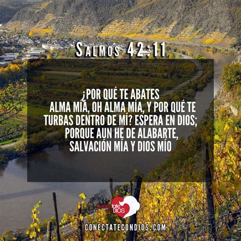 Los 7 Mejores Versículos Bíblicos de Esperanza - Conéctate Con Dios