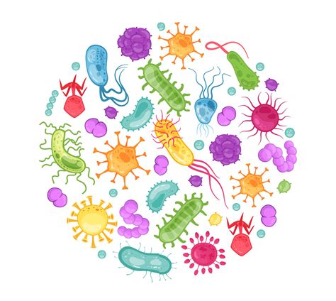 Los Beneficios de los Antibióticos | LifeHealth