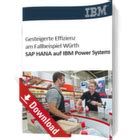 Image result for SAP Control Key PP04