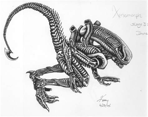 Xenomorph Drawing Tutorial 的图像结果
