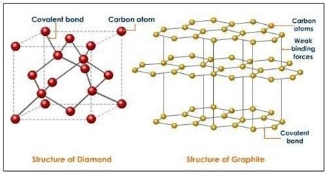 structure of diamonds and graphite - Brainly.in