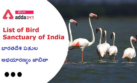 List of Bird Sanctuary of India, Check Complete List Here