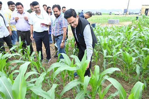 ICAR-indian agricultural research institute