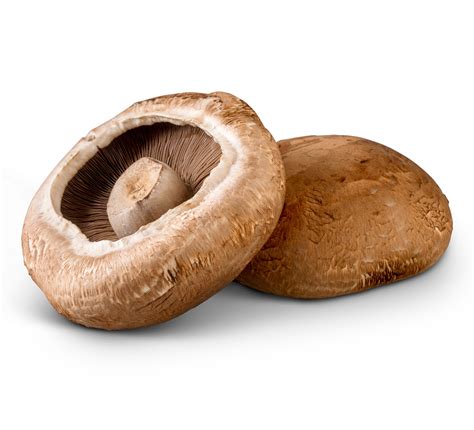 Portabellini® Mushrooms | Monterey Mushrooms