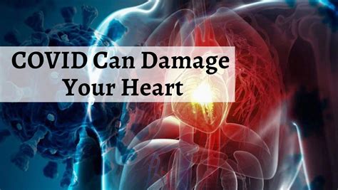 Coronavirus Can Severely Damage The Right Side Of Your Heart, Experts ...