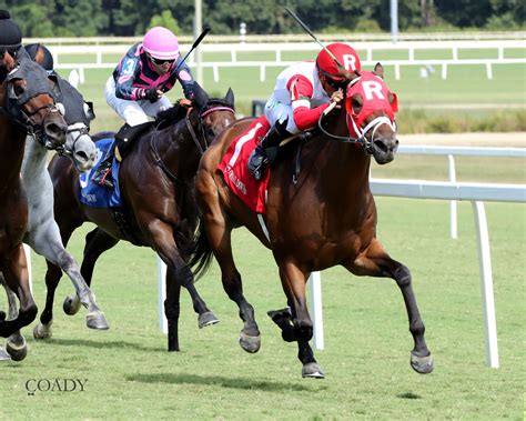 Whenigettoheaven Fights Back for $100,000 Meadow Stable Score ...
