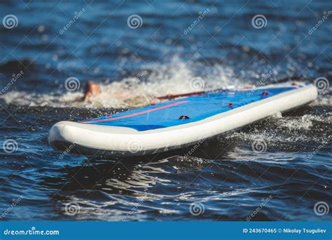 Group of Young Sup Surfers Fall from SUP Stand Up Paddle Board, Women ...