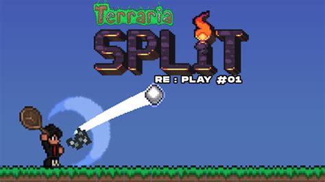 Image result for Tortoishell Split Mod