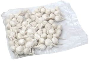 Shivaji Pack of 100 Cotton Diya Watt (Cotton Wicks) Puja Rui Batti ...