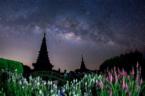 Image result for Foreground/Background Example